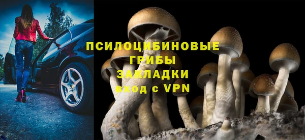 гашишное масло Инсар